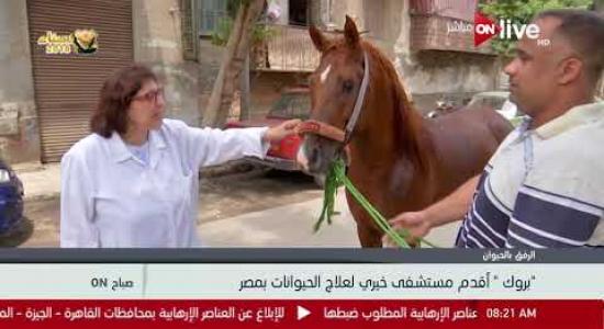 Embedded thumbnail for Brooke Egypt&amp;#039;s interview with ON Live TV Channel about its history and services with the working animals in Egypt